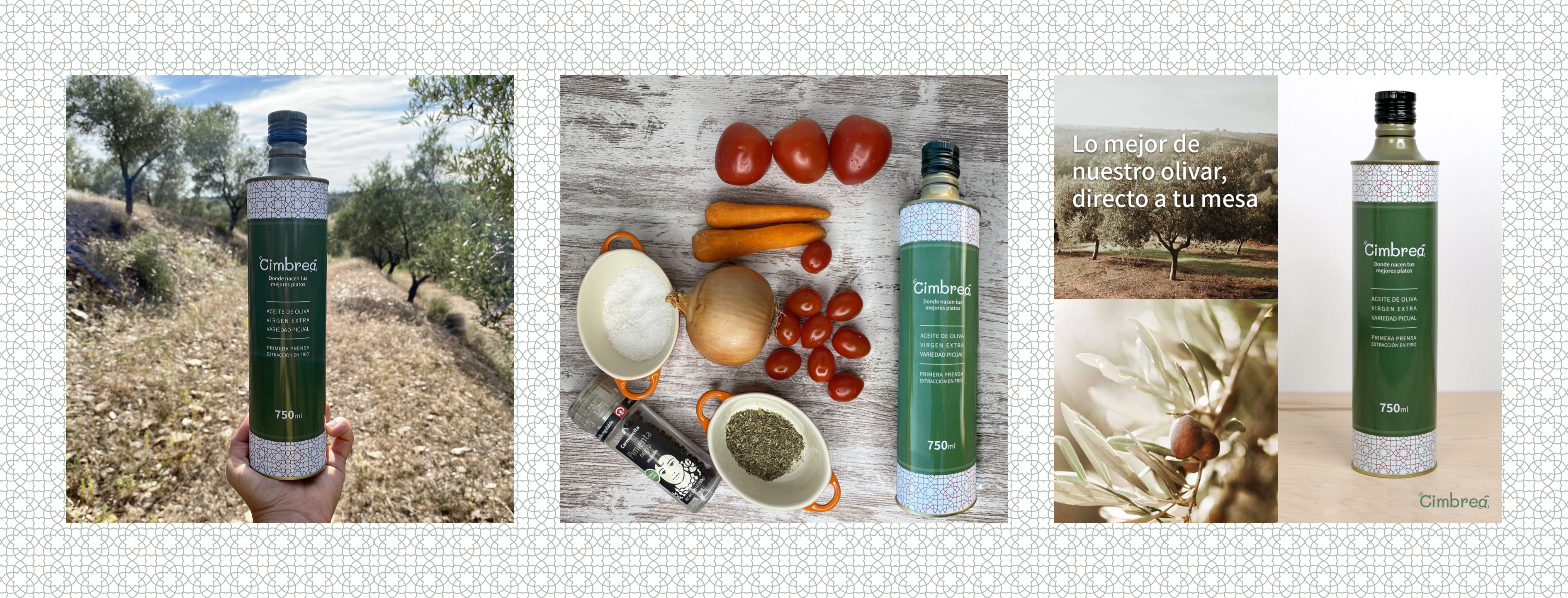 Creatividades Cimbreá