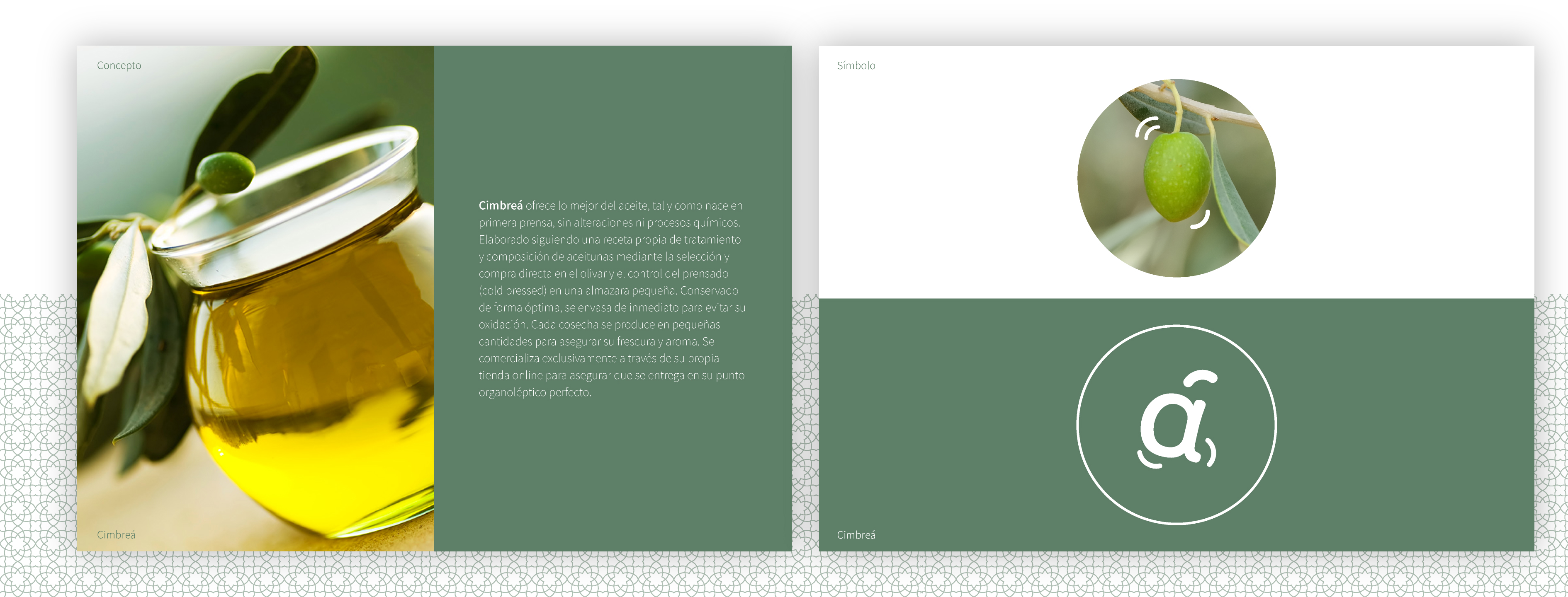 Brand book identidad visual Cimbreá